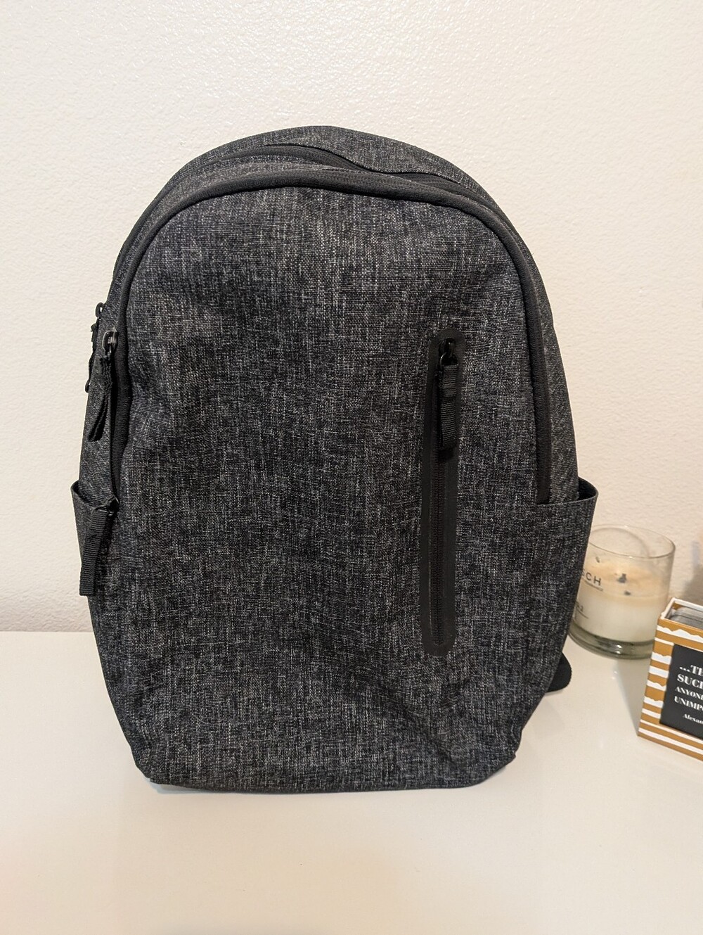 Everlane Backpack